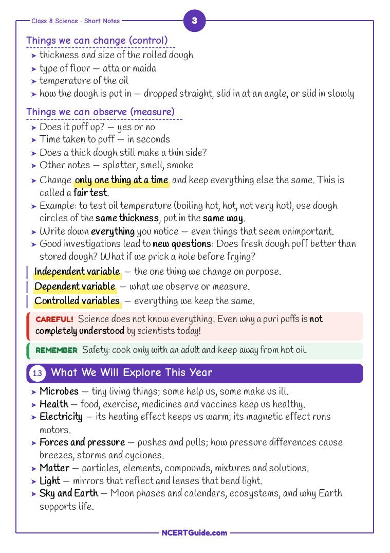 Class 8 Science (Curiosity) Chapter 1: Exploring the Investigative World of Science – real page from the NCERT Guide book