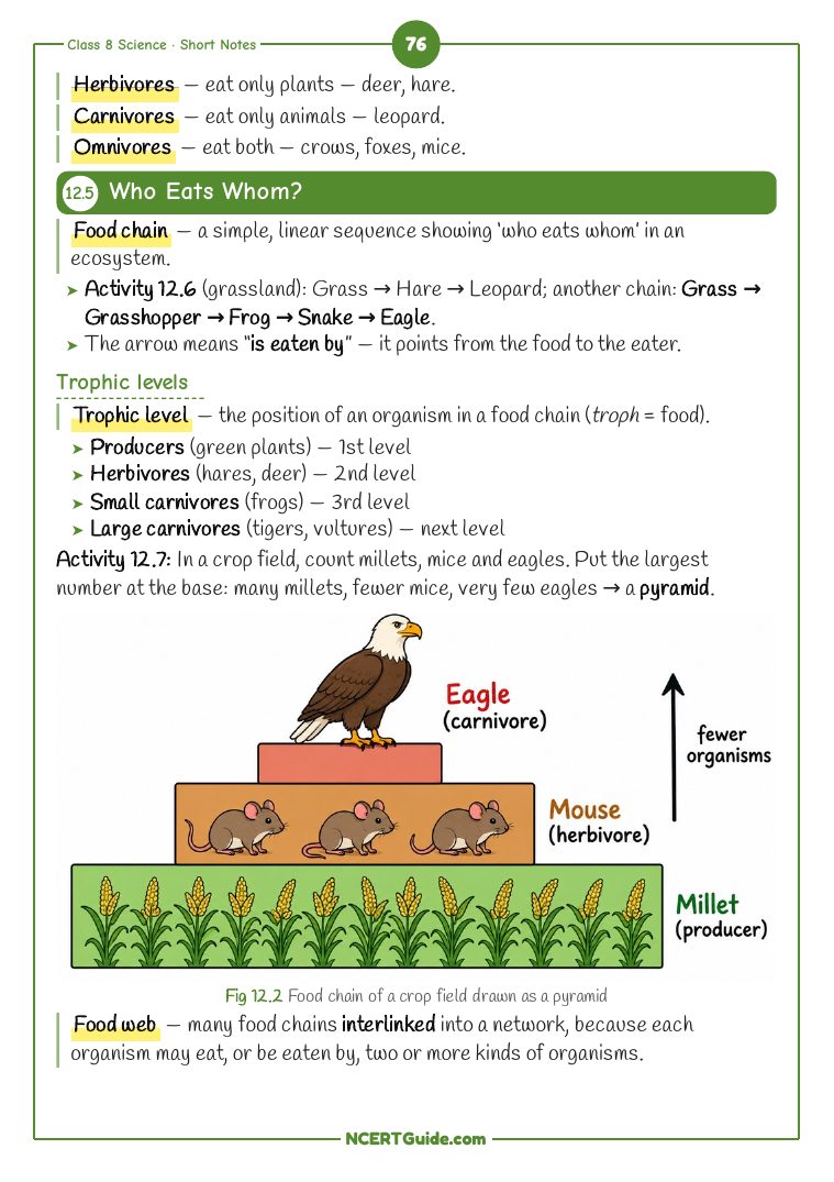 Class 8 Science (Curiosity) Chapter 12: How Nature Works in Harmony – real page from the NCERT Guide book