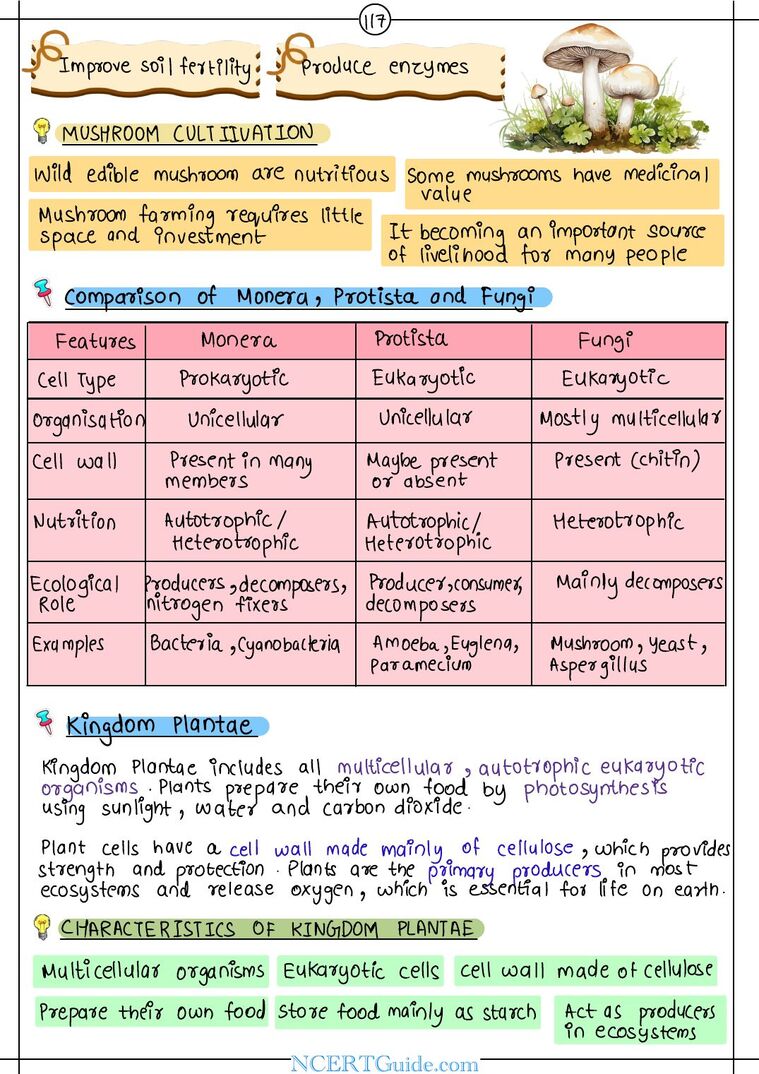 Class 9 Science (Exploration) Chapter 12: Patterns in Life: Diversity and Classification – real page from the NCERT Guide book