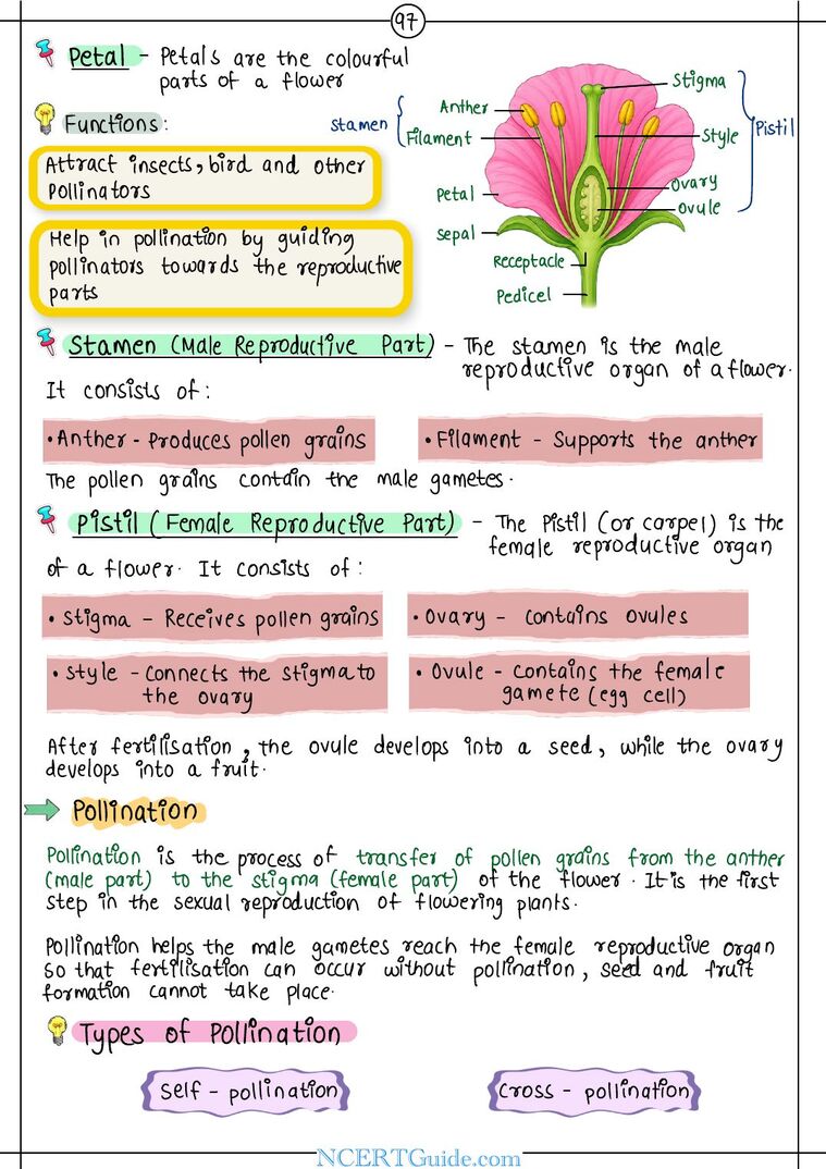 Class 9 Science (Exploration) Chapter 11: Reproduction: How Life Continues – real page from the NCERT Guide book