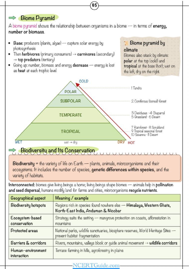 Class 9 Social Science (Understanding Society) Chapter 11: Life on Earth – real page from the NCERT Guide book