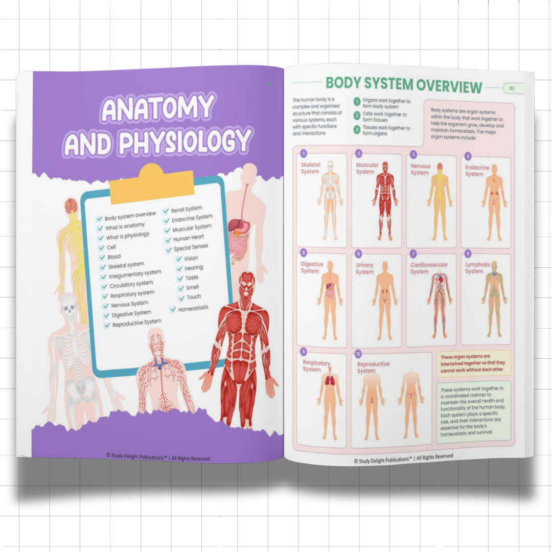 Nursing Mastery- All-in-One Visual Guide for Nursing Success - Ncert Guide