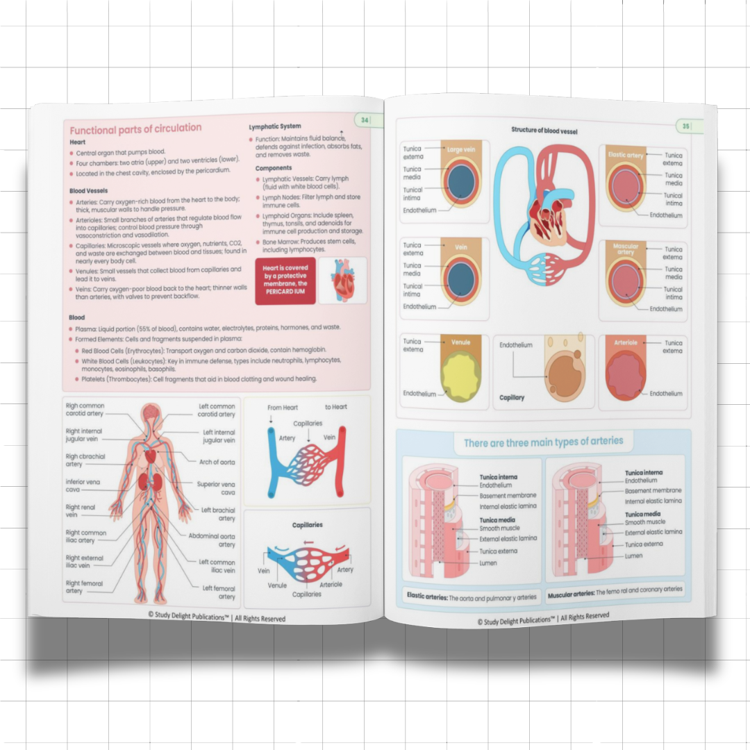 Nursing Mastery- All-in-One Visual Guide for Nursing Success - Ncert Guide