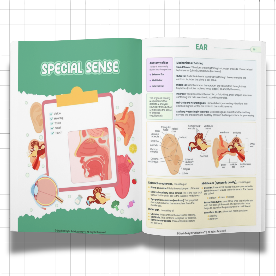 Nursing Mastery- All-in-One Visual Guide for Nursing Success - Ncert Guide