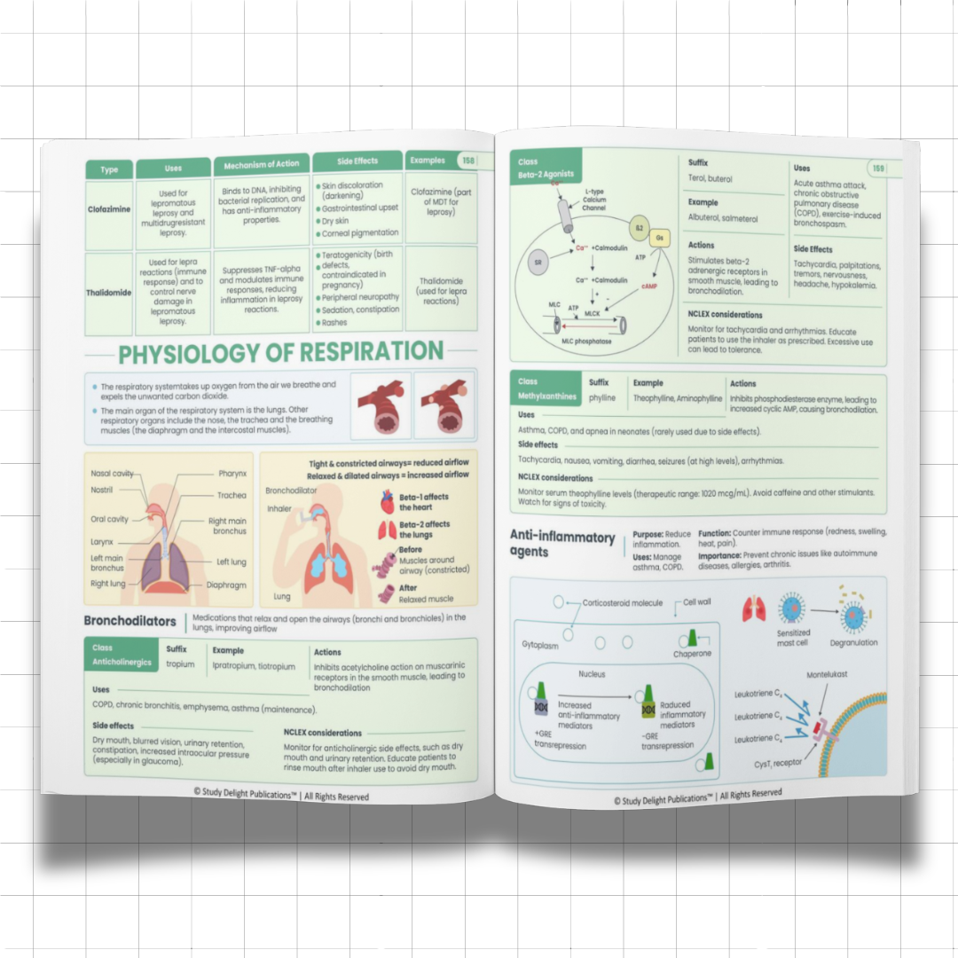 Nursing Mastery- All-in-One Visual Guide for Nursing Success - Ncert Guide