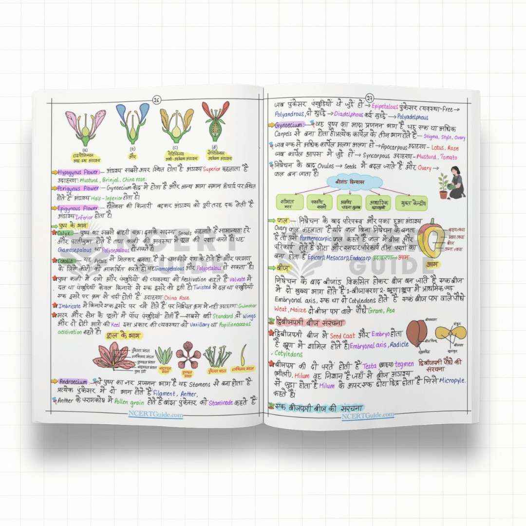NEET Biology(Jeev Vigyaan) Short Notes - Hindi Medium - Ncert Guide