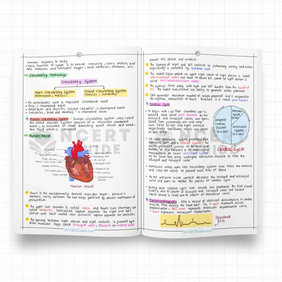 NEET Biology Short Notes | New Edition - Ncert Guide