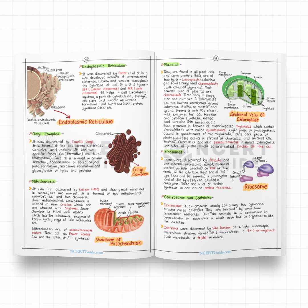 NEET Biology Short Notes | New Edition - Ncert Guide
