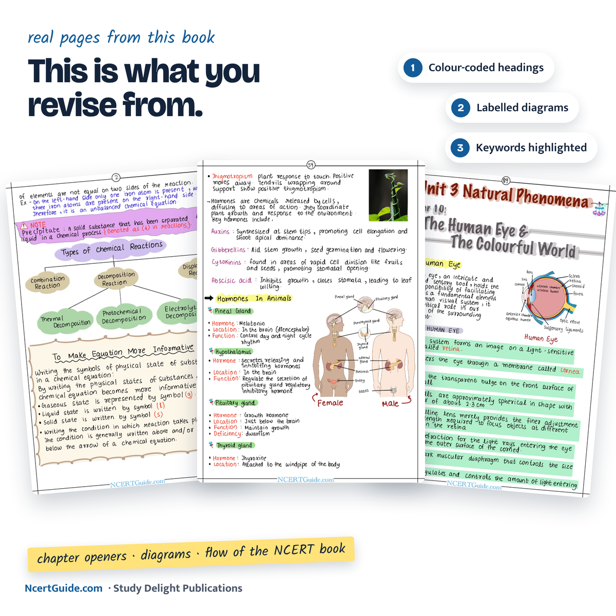 Class 10 Science Short Notes 2026-27 – real inside pages