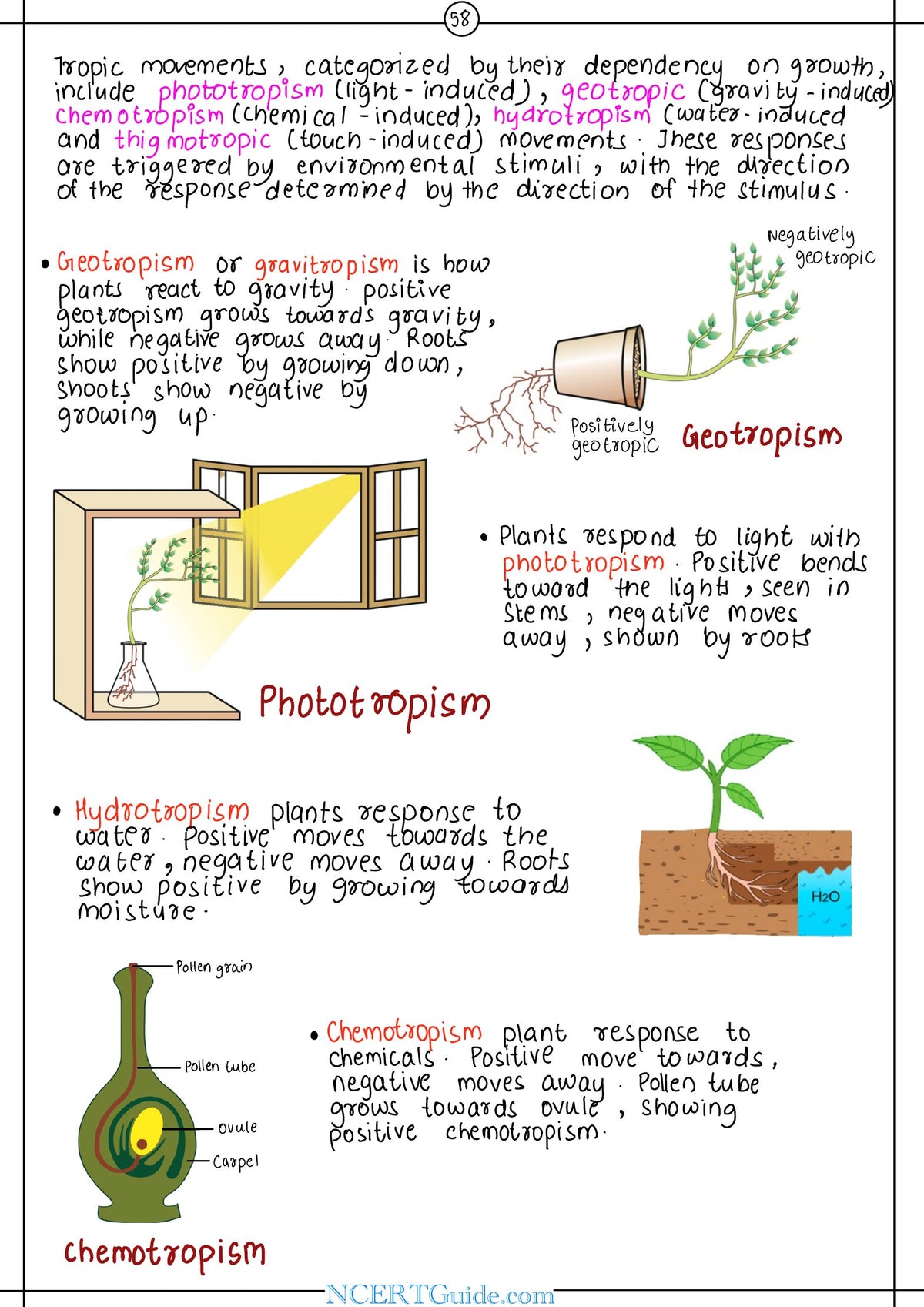 Class 10 Science Short Notes 2026-27