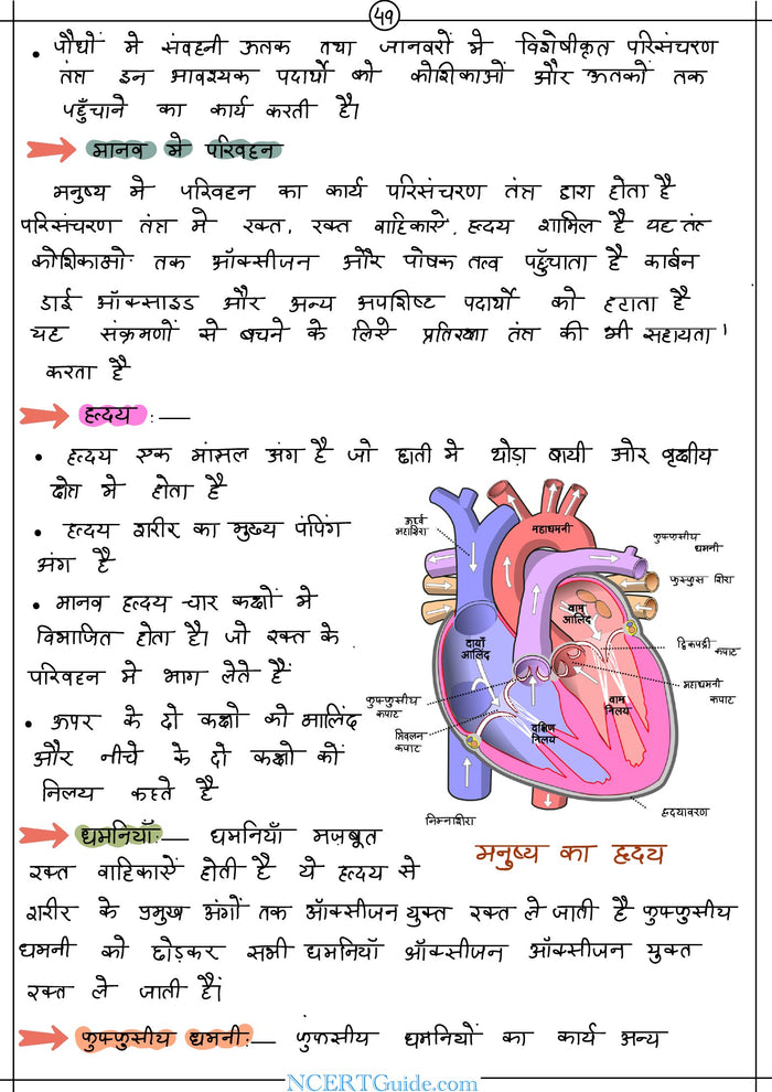 Class 10 Science Short Notes 2026-27 – Hindi Medium (Vigyan) – inside page 4