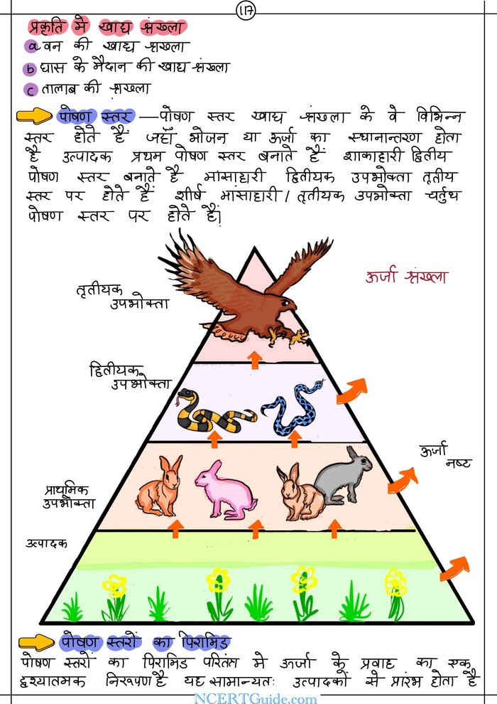Class 10 Science Short Notes 2026-27 – Hindi Medium (Vigyan) – inside page 7
