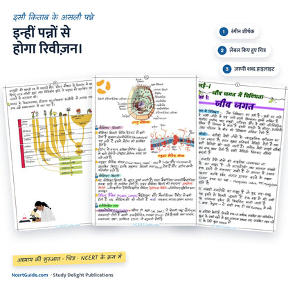 NEET Biology (Jeev Vigyaan) Short Notes – Hindi Medium – real inside pages