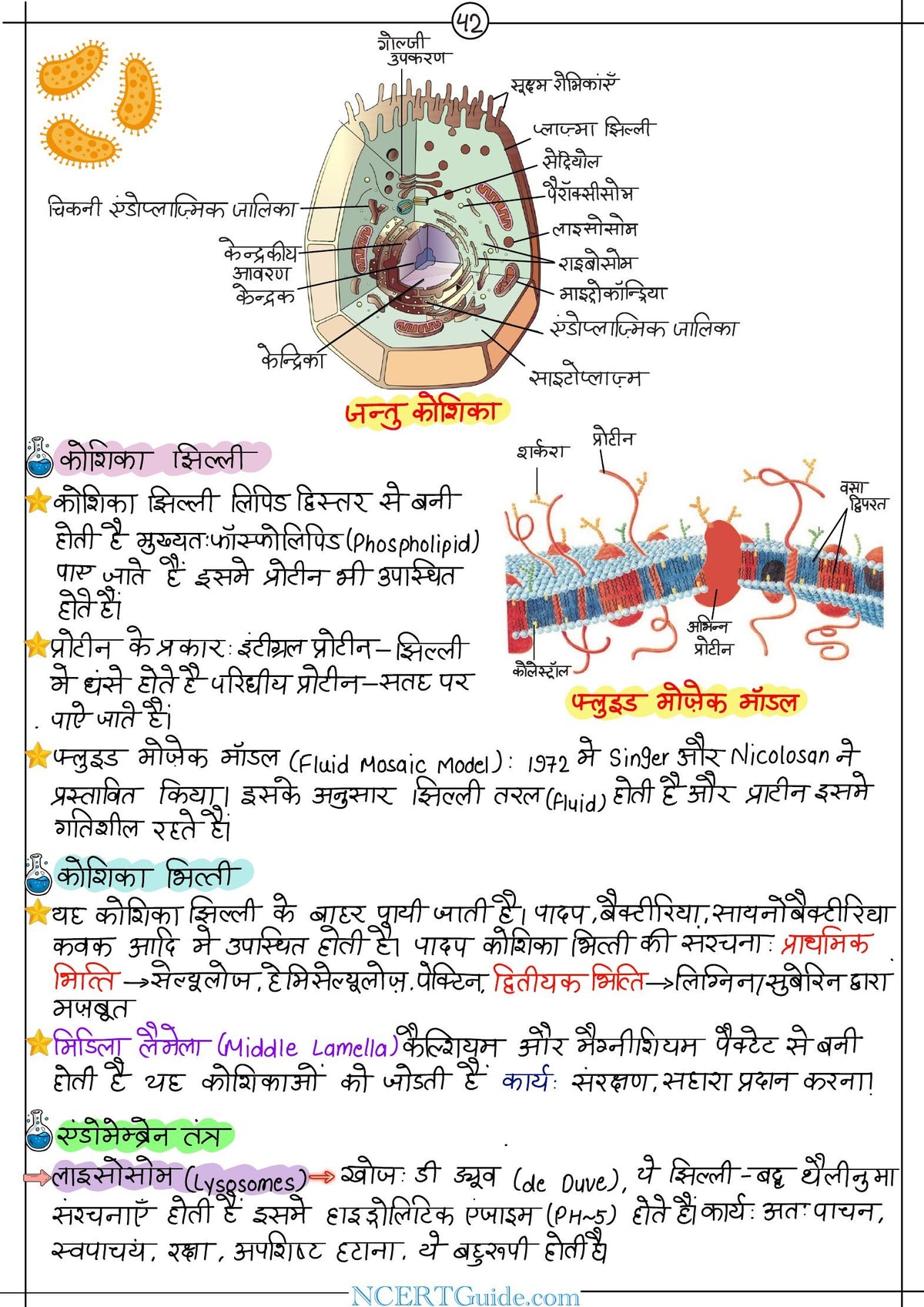 NEET Biology Short Notes 2027 – Hindi Medium (Jeev Vigyan)