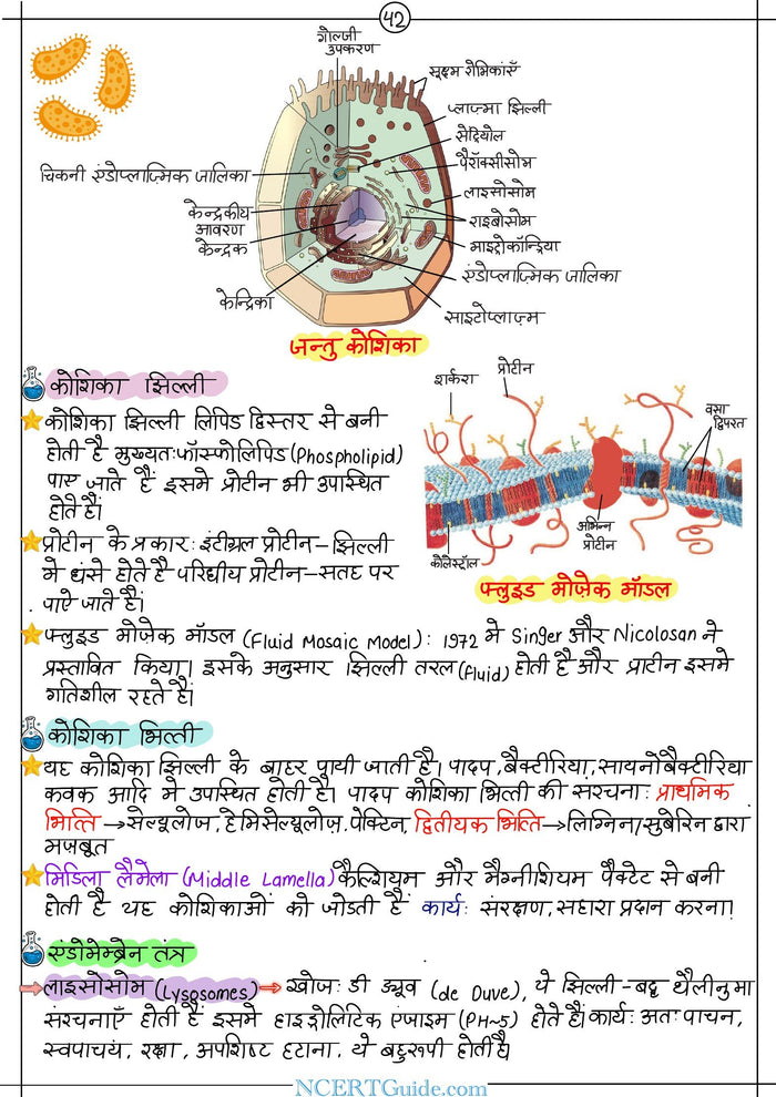NEET Biology Short Notes 2027 – Hindi Medium (Jeev Vigyan) – inside page 3